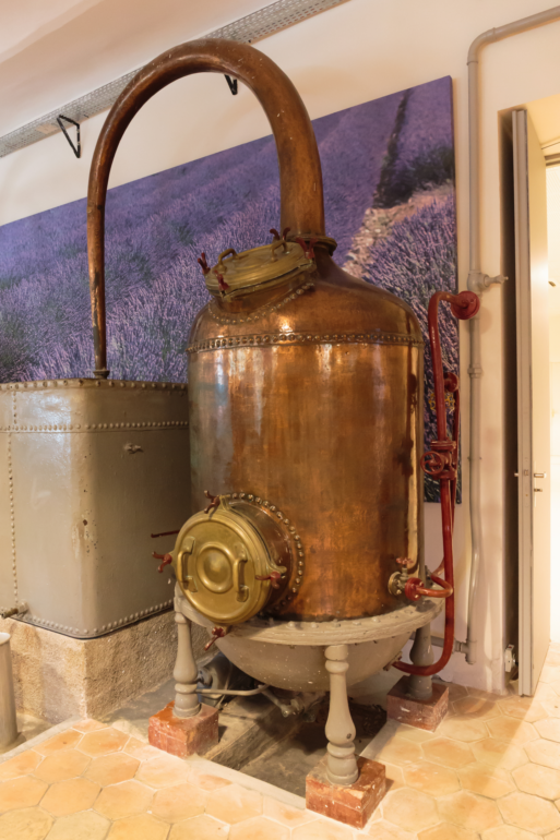 steam distillation of essential oils process