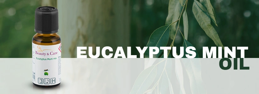 Mélange d'huiles essentielles d'eucalyptus et de menthe