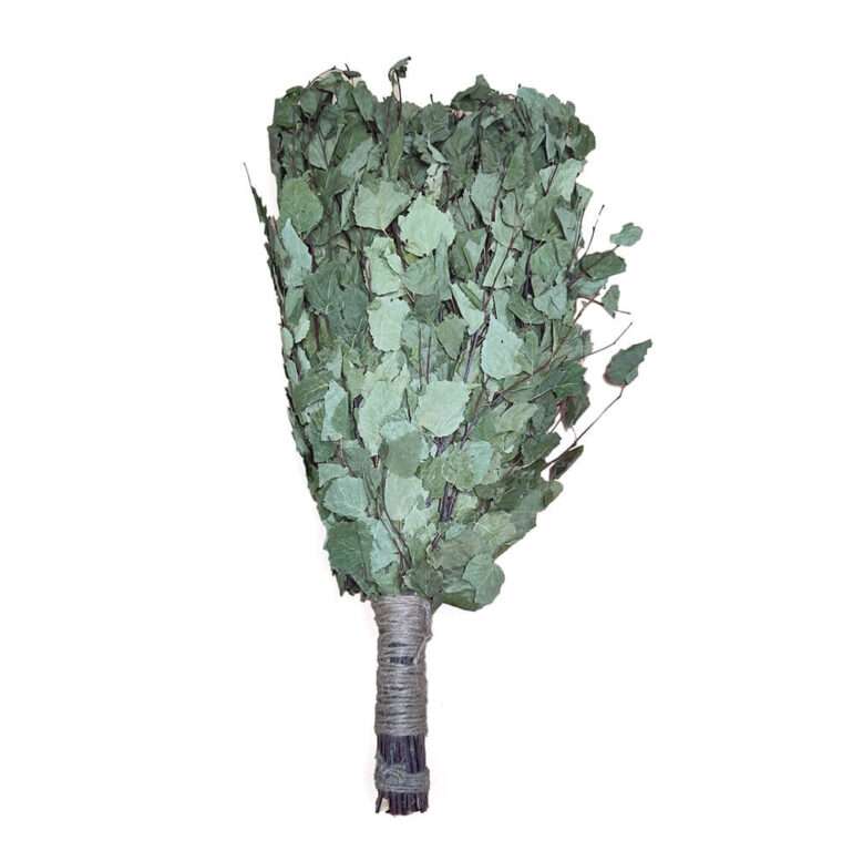 Birch branches whisk