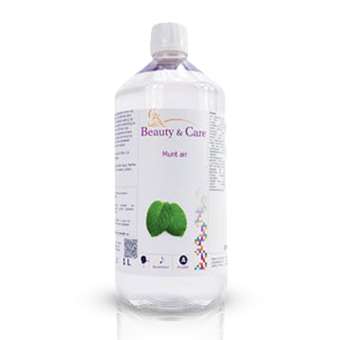 Mint air – 1 L