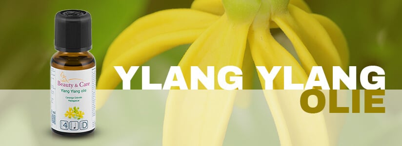 Ylang Ylang essential oil