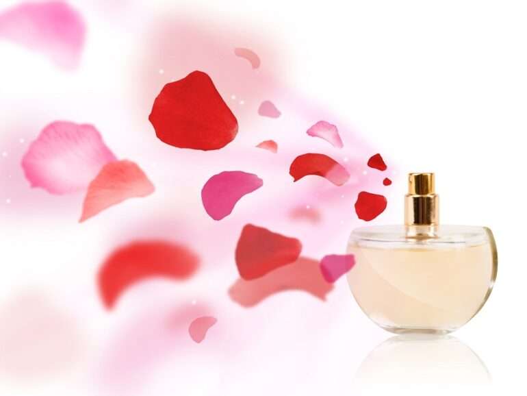 Rose musk massage oil – 5 L