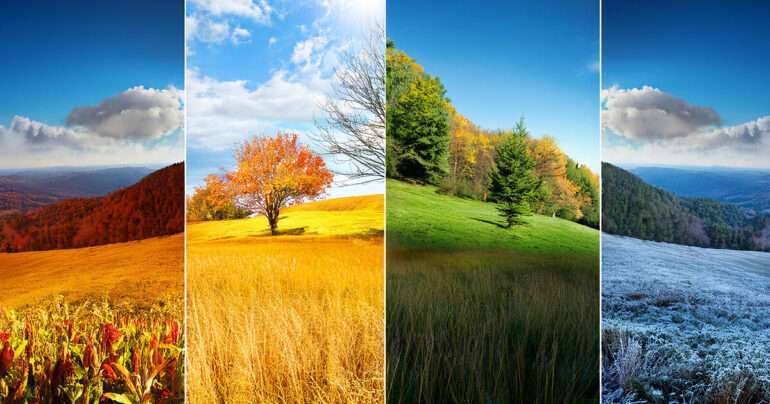 Seasons beauty care