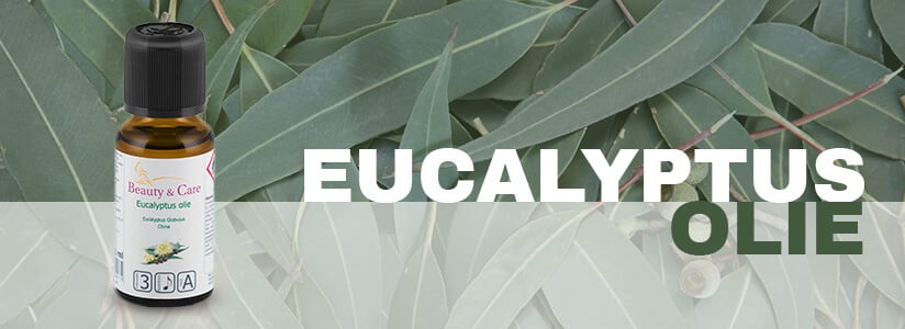 Eucalyptusolie