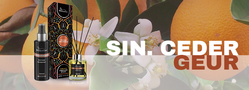 Orange Cedarwood scent