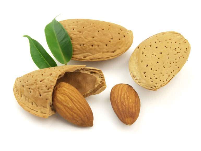 Sweet Almond oil – 25 L